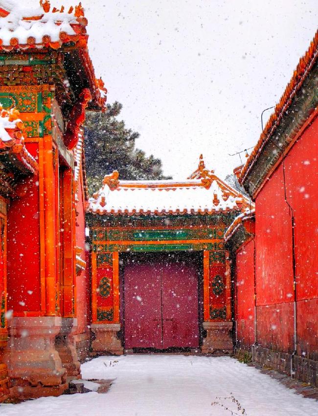 没东说念主能圮绝雪后的故宫 穿越六百年的纵欲