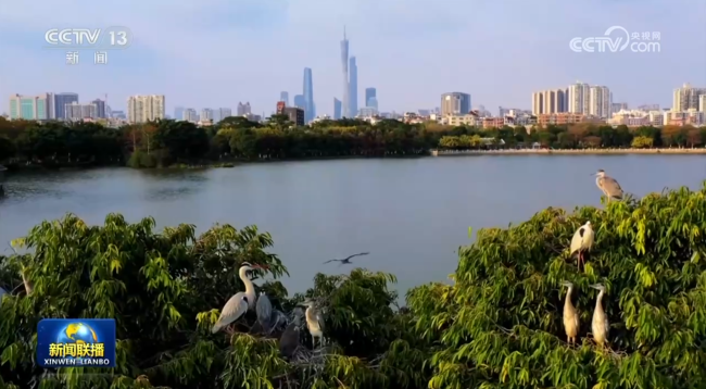 【新念念想引颈新征途·超卓“十四五”】确立公园城市 绘就宜居城市新画卷