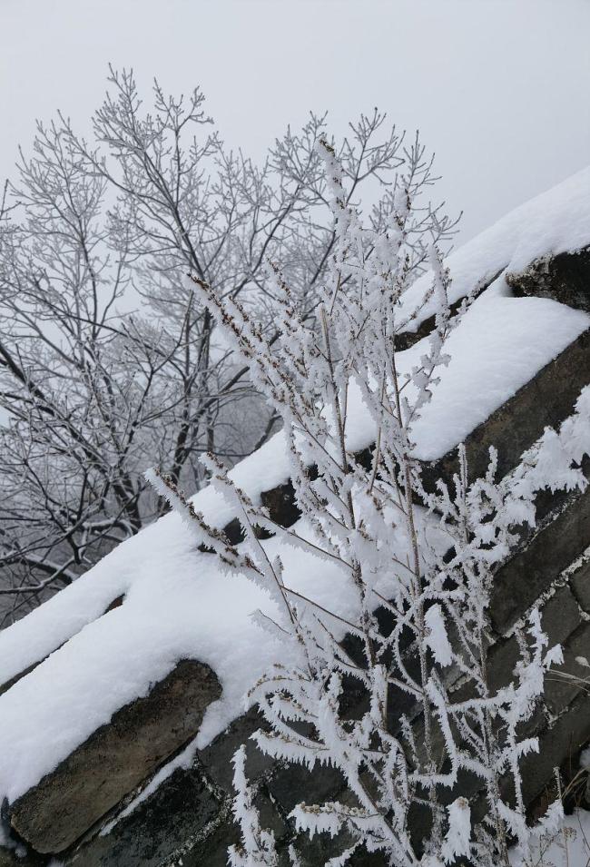 快来千里浸式感受北京2026年大雪，银装素裹的冬日画卷太猖狂了