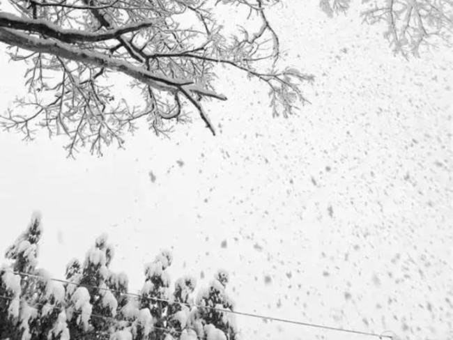 济南下“暴雨梨花针