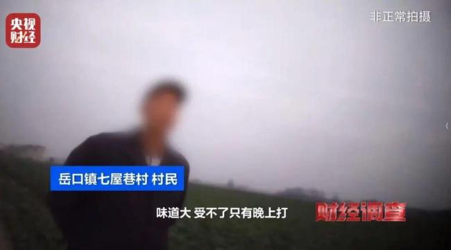 央视揭露菜商使用含毒农药 村民发声 违规销售屡禁不止