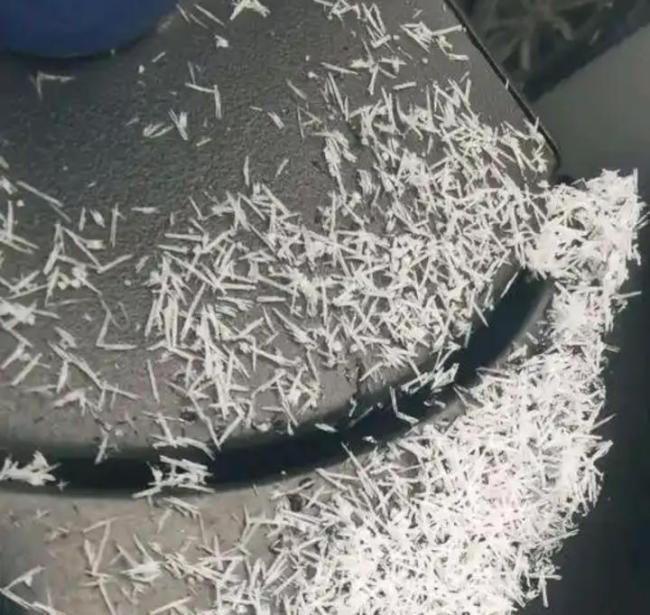 济南下“暴雨梨花针