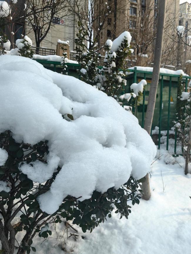 本轮寒潮比2008年更需要警惕 冻雨风险凸起