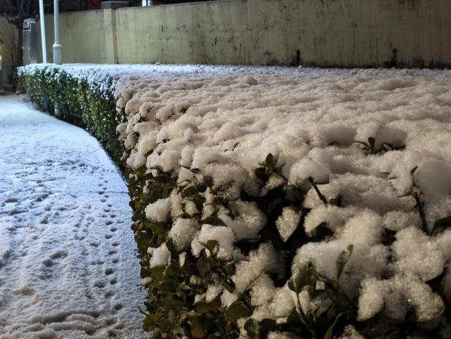 北京鹅毛大雪为什么会如此蓬松 偏东风与地形共舞