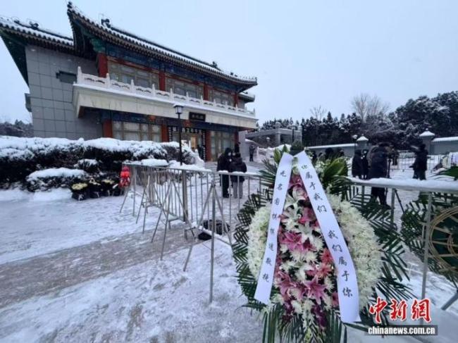 投资人李立强雪中送别聂卫平 棋迷共缅怀