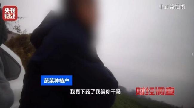 央视曝光“菜商违规使用含毒农药” 多渠道隐蔽销售