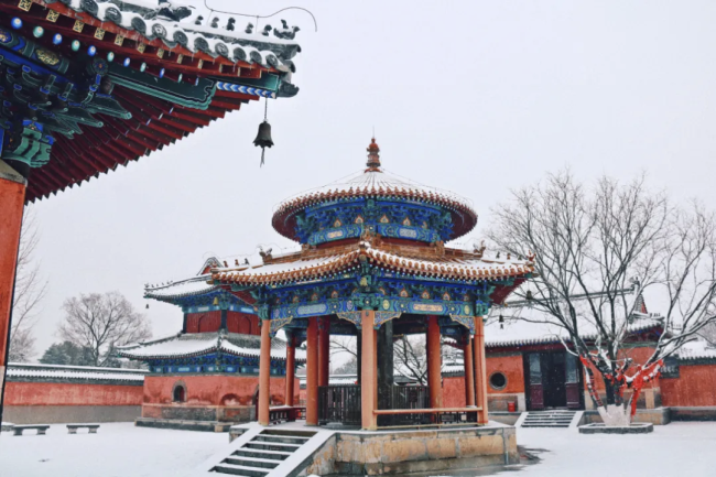 实拍江苏降雪：银装美景入画来 瑞雪装扮宿迁城