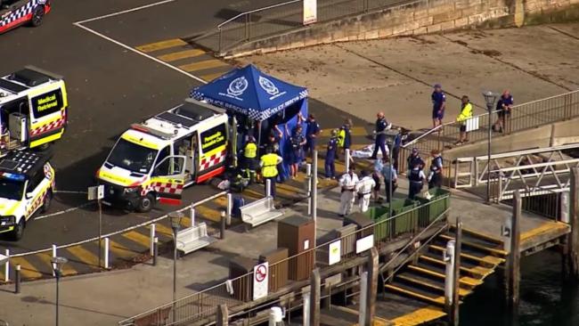 悉尼24小时内三起鲨鱼咬人