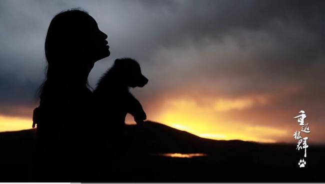 重返狼群主角格林近况未知