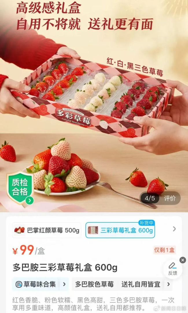 315元一斤的黑草莓9天100多人购买 水果新贵引发关注