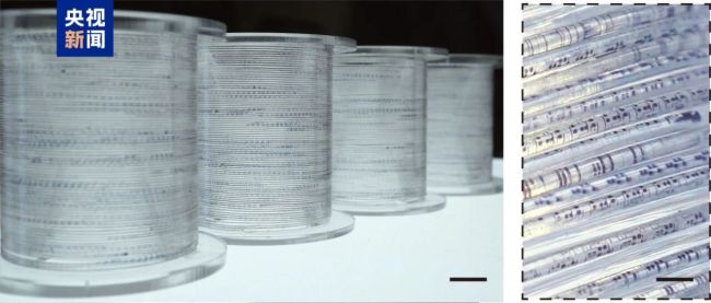 未来衣服会“思考”？会“计算”的新型纤维问世