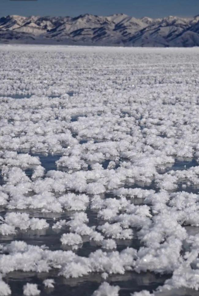 赛里木湖戒指版“冰花”开了