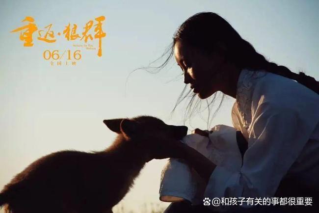 狼王格林“报恩”一幕看哭千万网友 草原上的每匹狼都是它