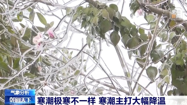 分清寒潮与极寒 专家详解南北冷感差异