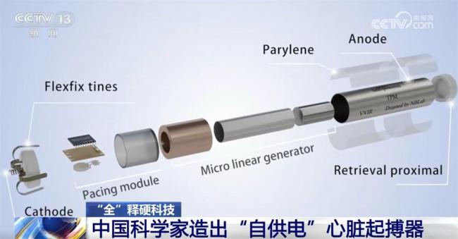 科学家造出“自供电”心脏起搏器 心跳供电奥秘揭晓