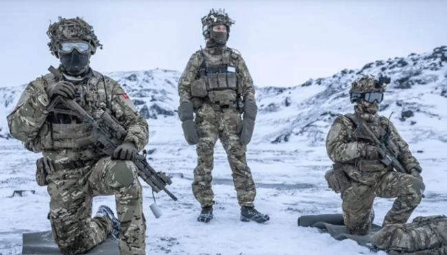 媒体：欧洲开始加速“去美国化” 减少军事依赖