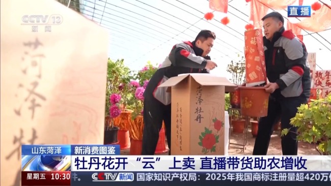 国色“添香” 牡丹花成村民“致富花”