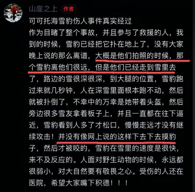 目击者称伤者未主动触摸雪豹 尊重自然法则警钟长鸣