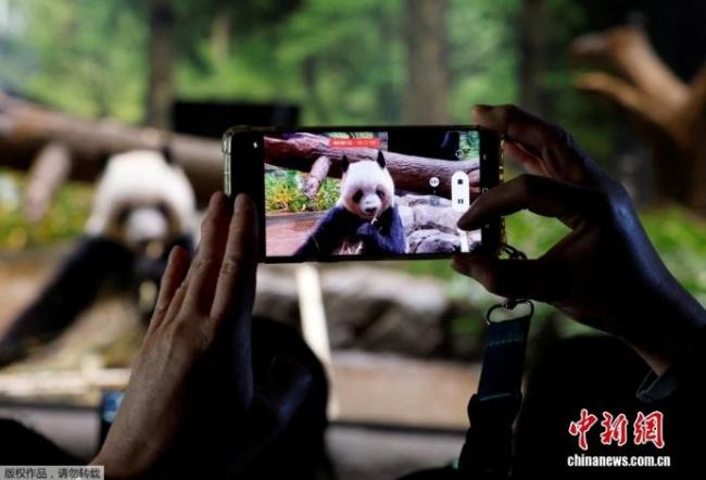 直击旅日大熊猫最终参观日 日本民众依依不舍告别