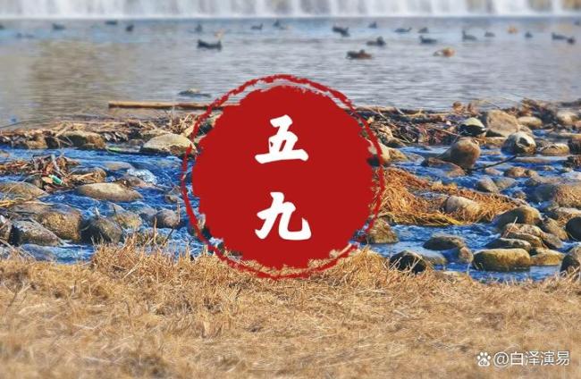 26号进五九，今年五九不一般 春意与寒意交织_中华网