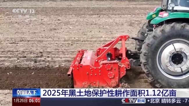 2025年东北共实施黑土地保护性耕作面积1.12亿亩