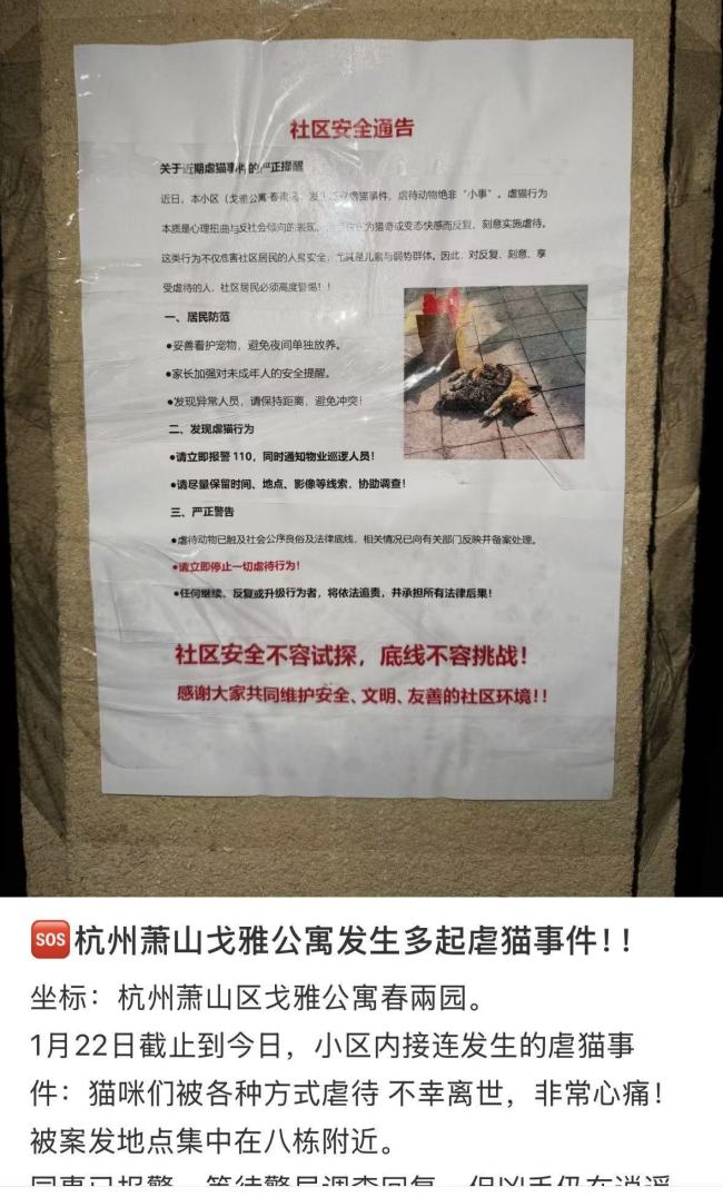 一小区被曝发生多起虐猫事件