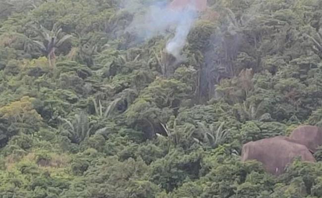 越南一军用飞机坠毁 飞行员跳伞逃生 事故原因正调查中