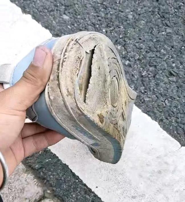 26岁男子从杭州徒步回重庆 毅力与风景同在