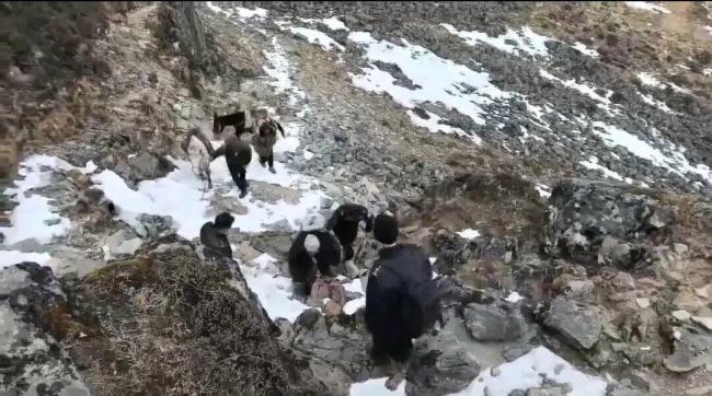 闯贡嘎山未开发区男子靠吃雪求生 违规徒步被罚救回