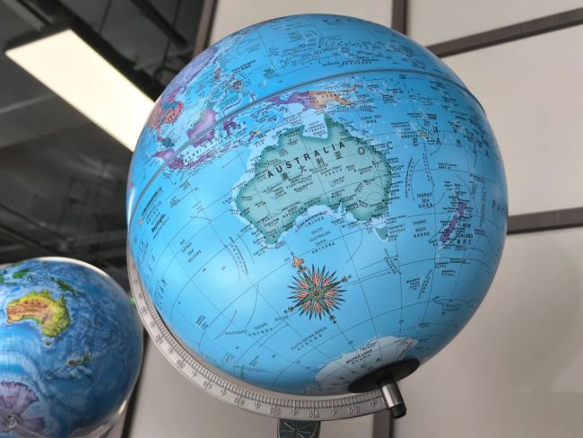 两天4起袭击，鲨鱼疯了吗？悉尼“高龄”下水道该不该背锅 污水系统引鲨鱼？