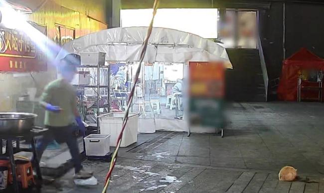 喂流浪猫男子称无意的善举换来福报 善行躲过一劫