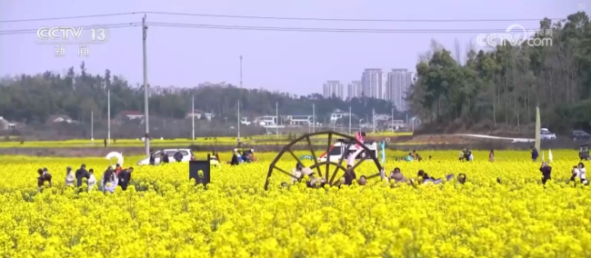 “到中国过春节”成为新潮流新风尚