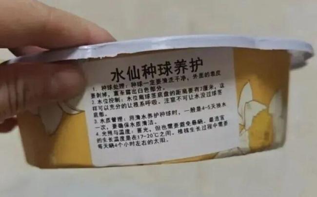 盒马回话误送水仙球致东谈主误食中毒 两边协商抵偿决策