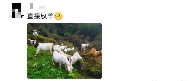 河南一小学全班宣誓寒假不气爸妈 童声嘹亮假期承诺