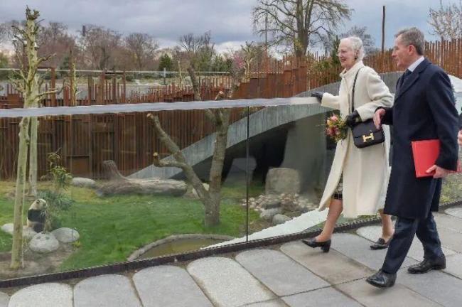 “超等酬酢官”大熊猫下站去哪儿出差 友谊大使续写新篇章