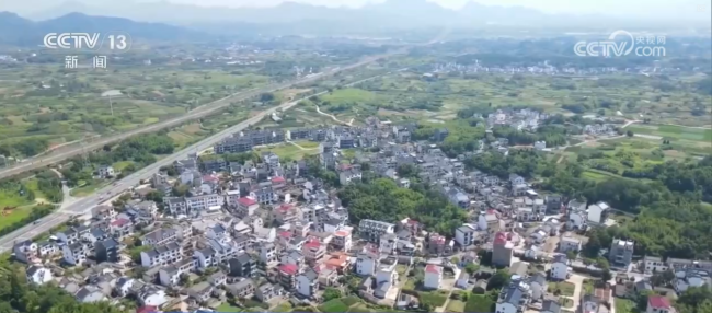 “到中国过春节”成为新潮流新风尚