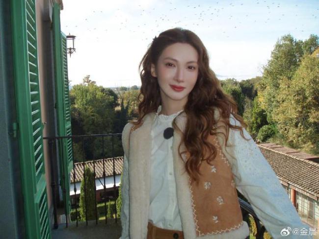 保障公司调监控才发现是金晨开车 涉嫌闯祸潜逃激励热议