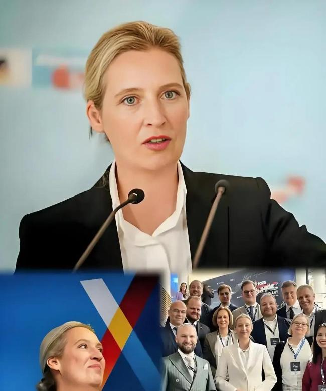 德国党派领袖怒斥泽连斯基 北溪真相引发德国民众愤怒