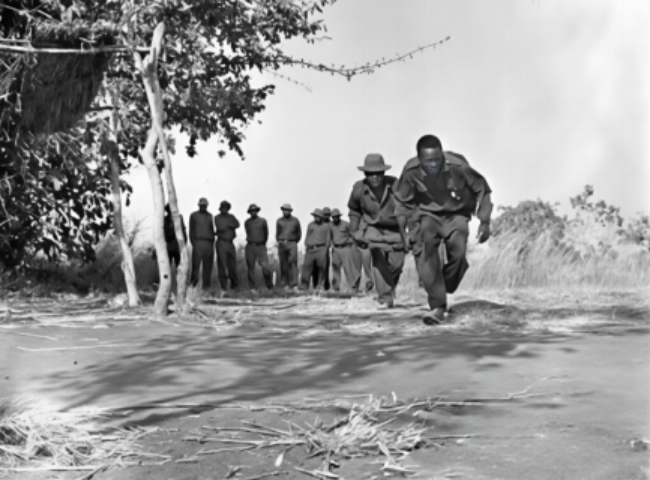 走过岁月峥嵘 共赴当代化新征途——习近平主席复信津巴布韦老战士传话中非友好续写新篇