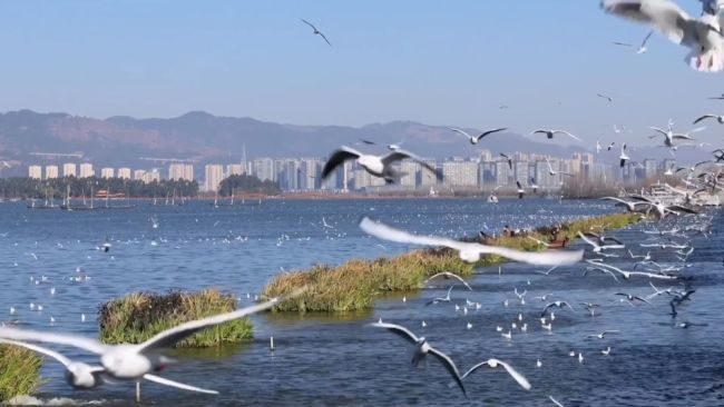 开年看消费 活力在中国奔涌