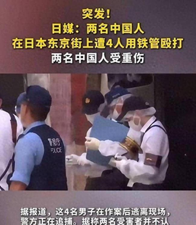 中日航线一共有多少条 全面暂停运营引发关注