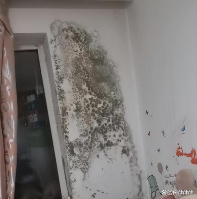家人打扫房子6岁女孩脑子被真菌啃食 空置房霉菌成隐患