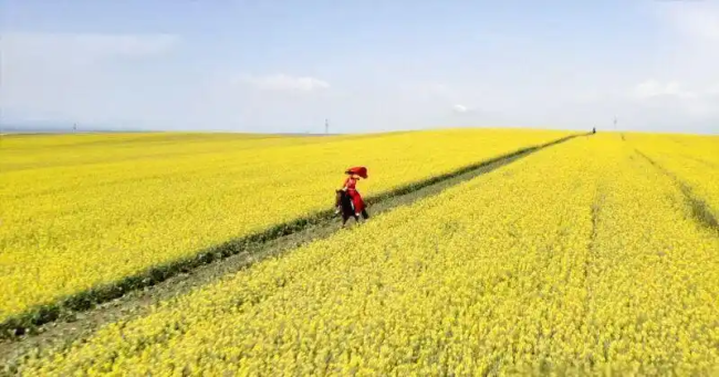75平方米展厅记录贺娇龙爱民一生 生平事迹与奉献精神永存