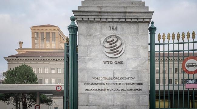 WTO�ö��������Դ����Υ���к����� ͹�Զ�߹�����Լ����