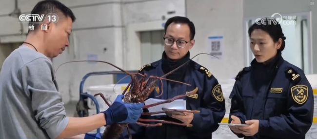 “年味儿”国货加速出口 “洋年货”走俏市场 