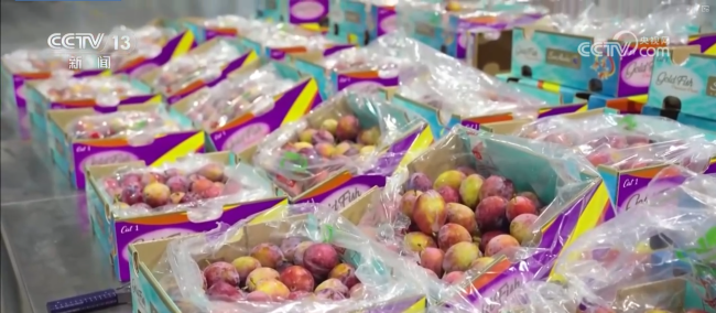 “年味儿”国货加速出口 “洋年货”走俏市场 