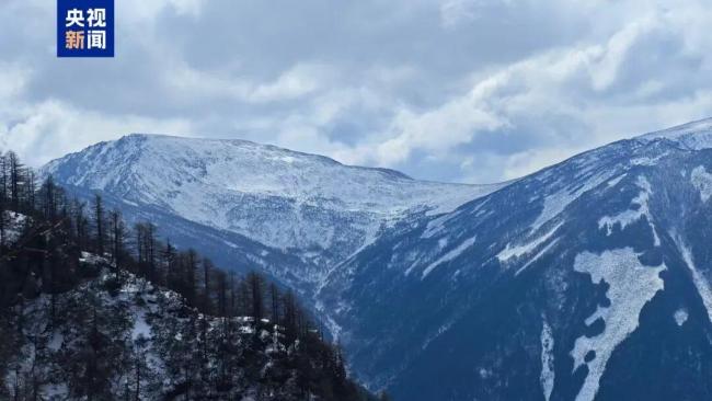 3东说念主违法穿越秦岭用燃气罐烧水作念饭 领队被拘激发警示