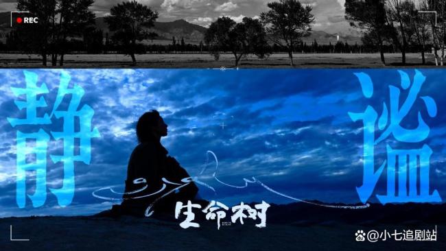 生命树 杨紫演技