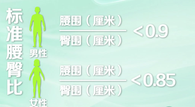 形体的两个尺寸与健康密切关联 腰身颈围预警疾病风险