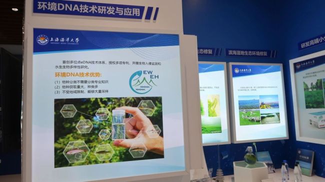 不看物候不采样，海洋eDNA🧬监测有季节性规律